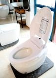  Smart Toilet Tkm-120 