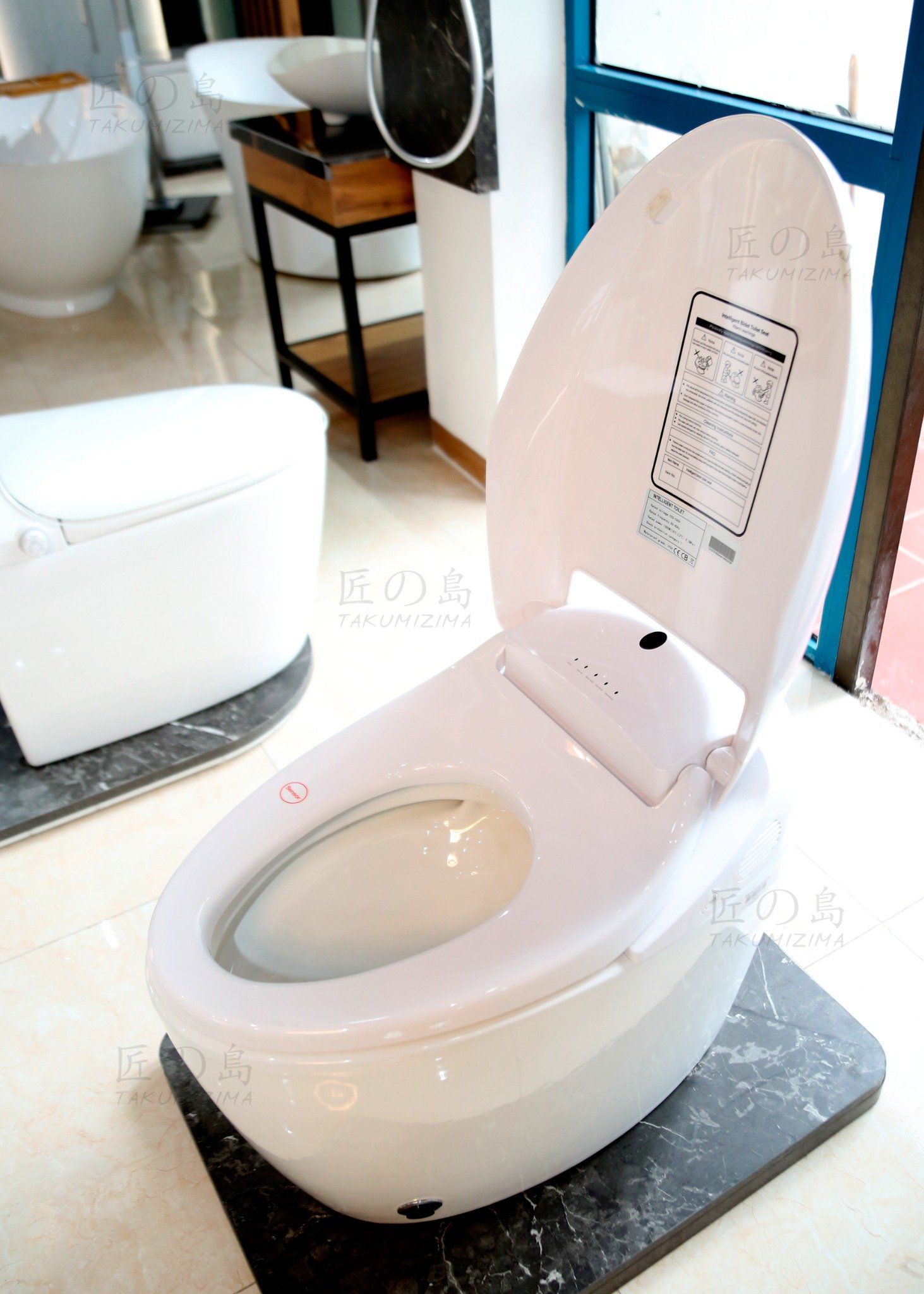  Smart Toilet Tkm-120 