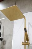  Showerhead Faucet El-1451g 