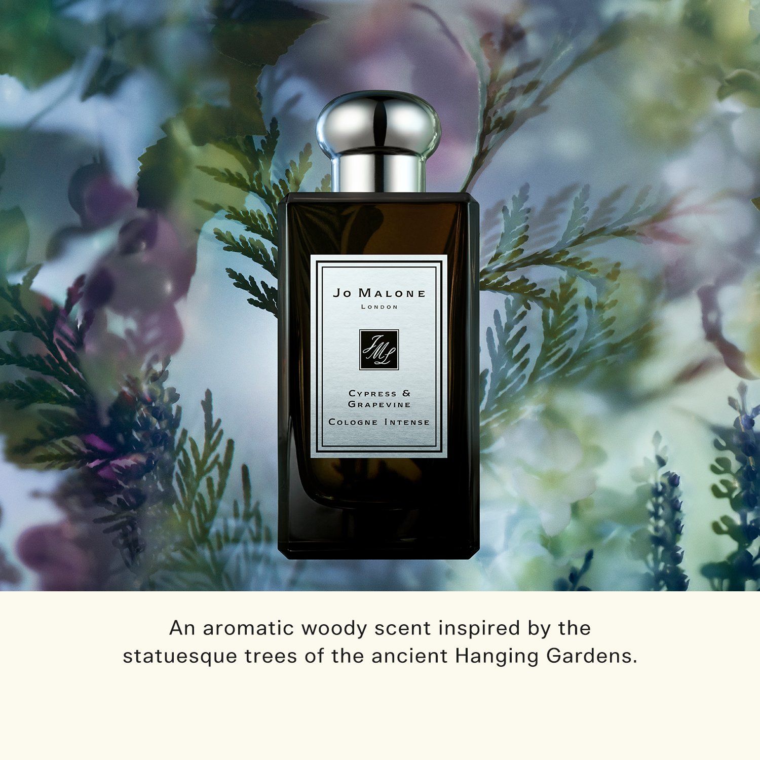  Nước Hoa Intense Jo Malone London Cologne Intense 100ml 