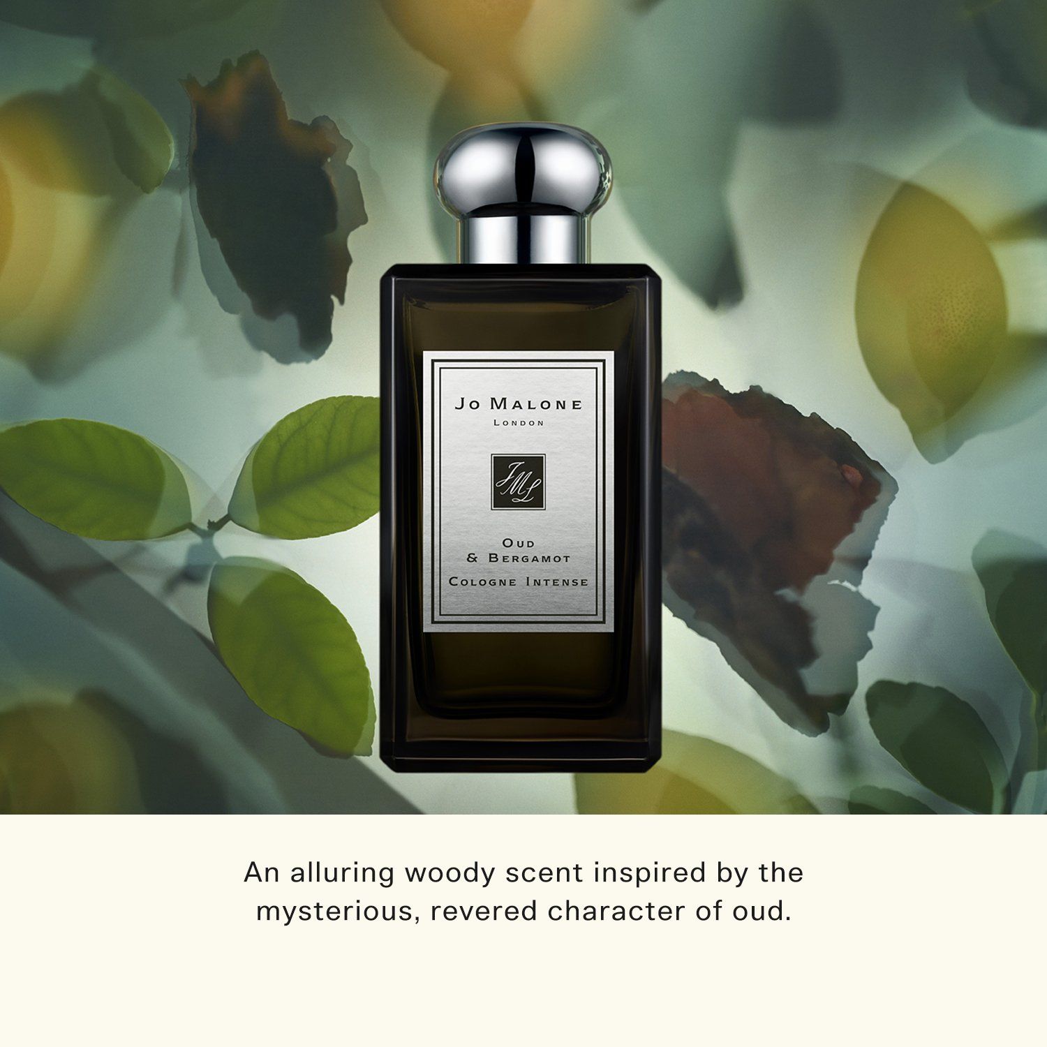  Nước Hoa Intense Jo Malone London Cologne Intense 100ml 