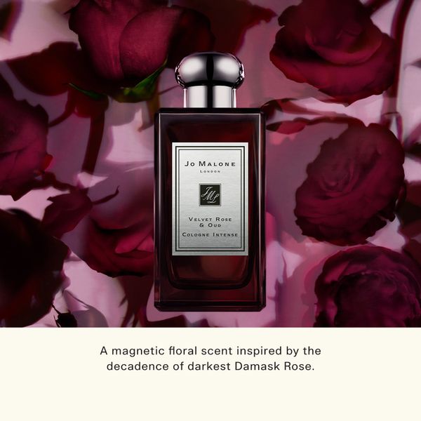 Velvet Rose & Oud 