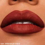  [Mới] Estee Lauder Pure Color Matte Lipstick, 3.5g - Lipstick 