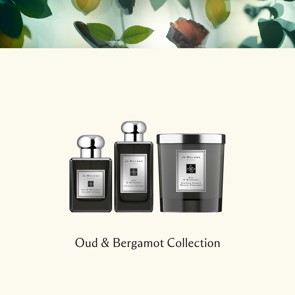 Oud & Bergamot 