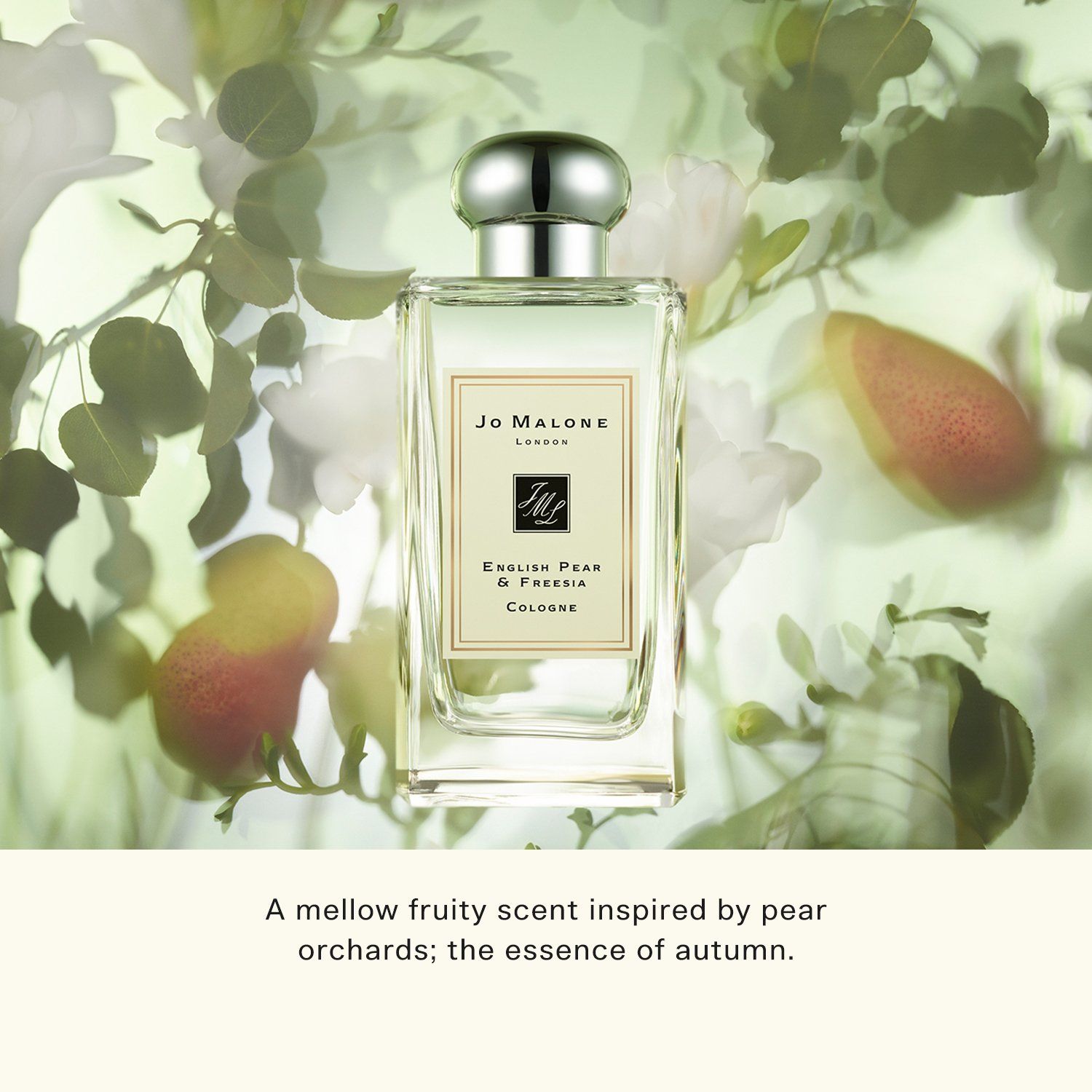  Nước Hoa Jo Malone London Cologne 100ml 