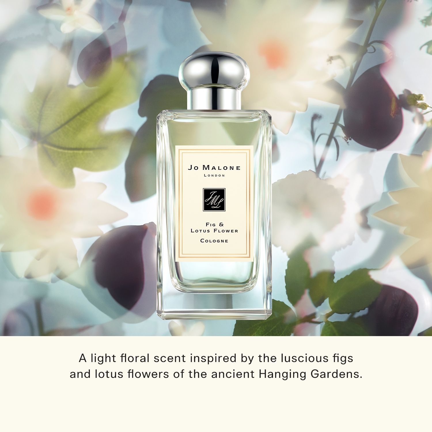  Nước Hoa Jo Malone London Cologne 100ml 