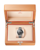 Seamaster Diver 300M