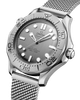 Seamaster Diver 300M