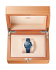 Seamaster Diver 300M