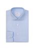 SHIRT FIT DINO - SKY BLUE/BLUETTE