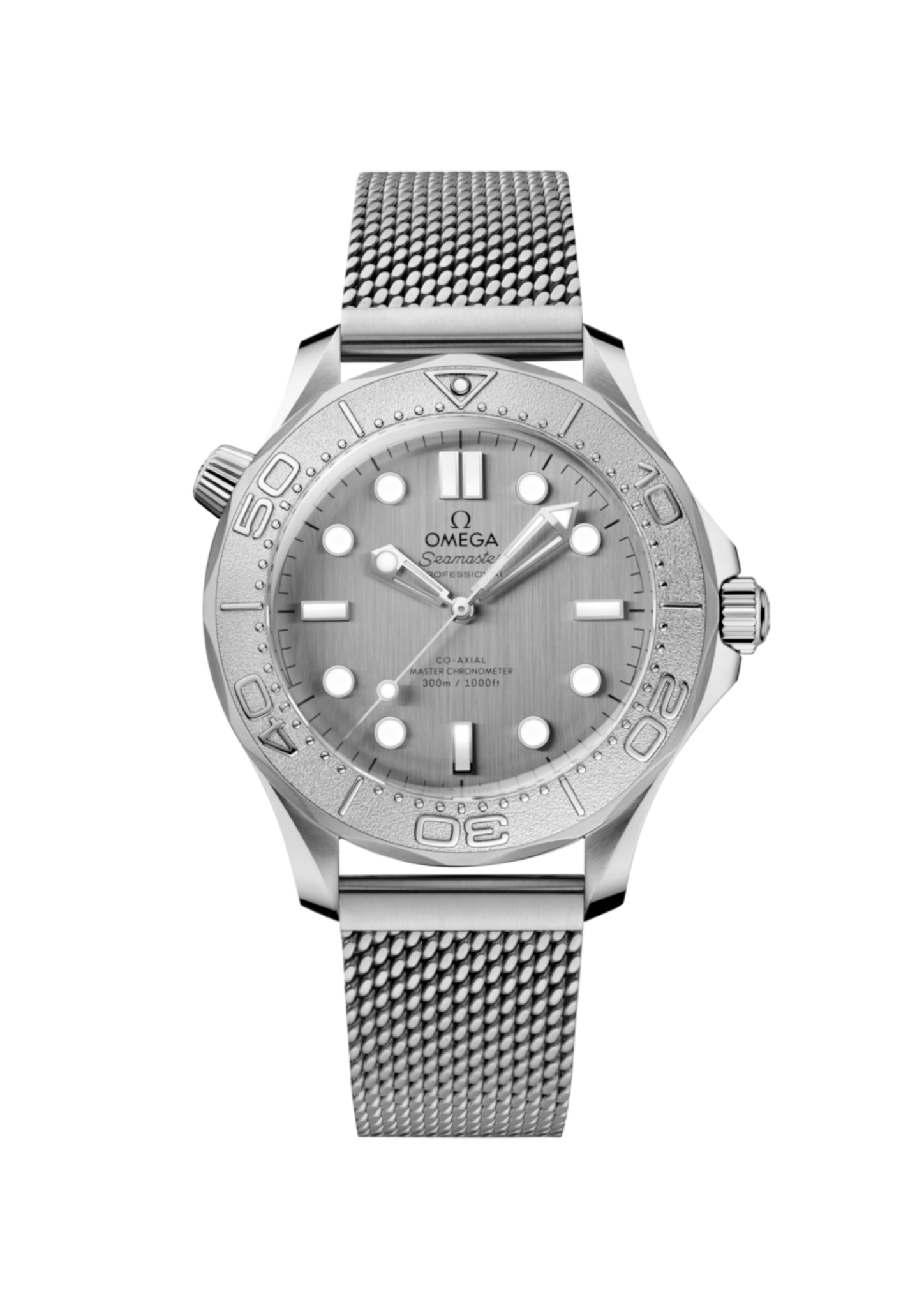 Seamaster Diver 300M