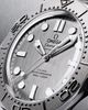 Seamaster Diver 300M