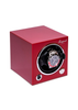 EVO SINGLE WATCH WINDER