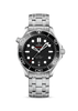 Seamaster Diver 300M