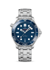 Seamaster Diver 300M