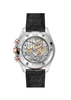 Speedmaster Moonwatch Professional