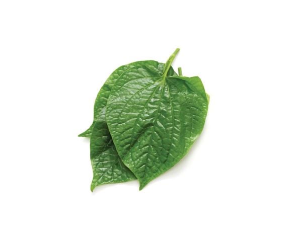 Lá lốt 200gr Genshai Fresh