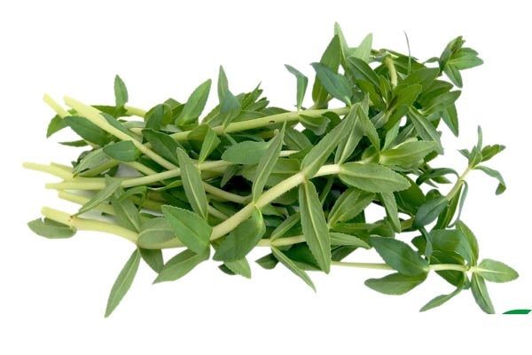 Rau om 100gr Genshai Fresh