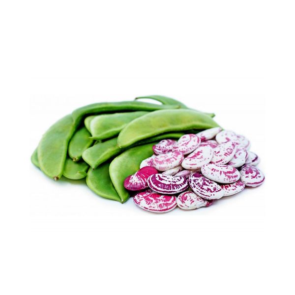 Đậu ngự tươi Genshai Fresh 200gr