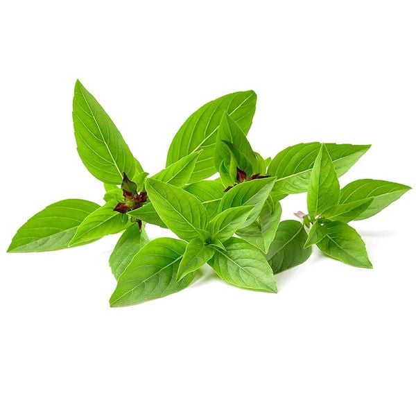 Rau húng quế 100gr Genshai Fresh
