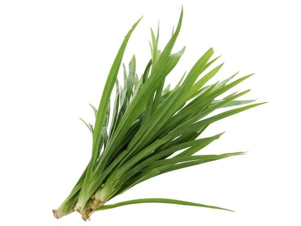 Lá dứa 100gr Genshai Fresh