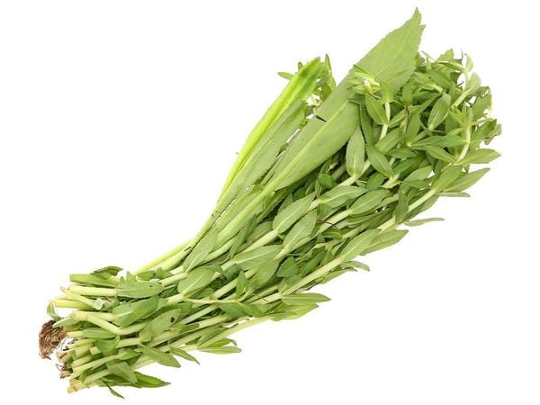 Hỗn hợp hành lá + Ngò gai + Ngò ôm 100gr Genshai Fresh