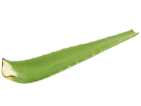 Nha đam Genshai Fresh 350gr