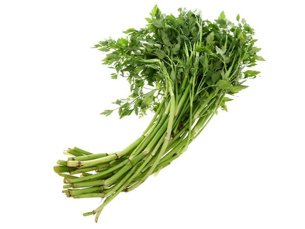 Cần nước Genshai Fresh 300gr