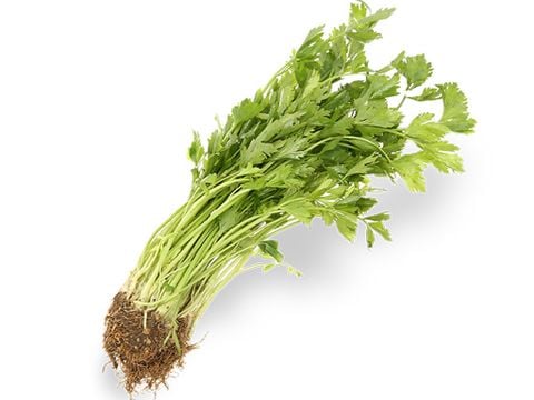 Cần tàu 100gr Genshai Fresh