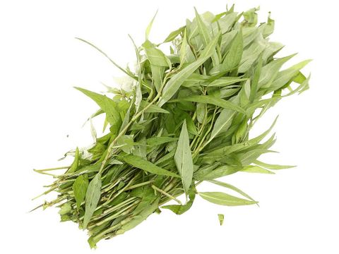 Rau răm 50gr Genshai Fresh