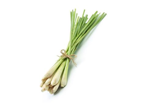 Sả cây Genshai Fresh 150gr