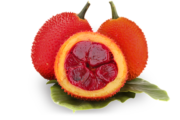 Gấc trái Genshai Fresh 500gr up