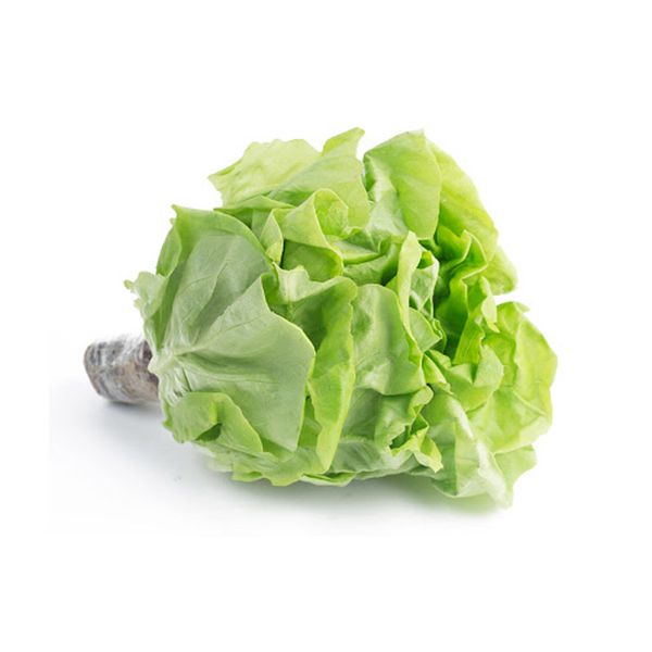 Xà lách mỡ Genshai Fresh thủy canh  200gr