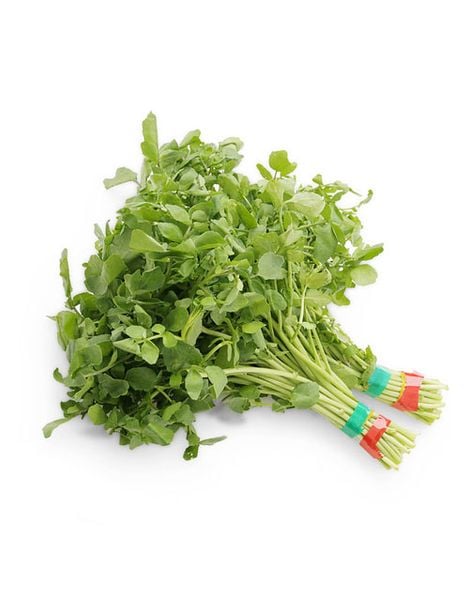 Xà lách xoong lớn Genshai Fresh 300gr