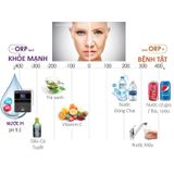  Máy tạo nước ion kiềm cao cấp PI BIONTECH công nghệ hàn quốc - BTM 1000 - Hỗ trợ sức khoẻ Gia Đình 