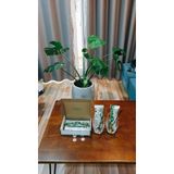  Combo Trải Nghiệm Gói Sữa Hạt Cao Cấp Forganic -  (Đa Dưỡng Chất + Bữa Ăn Thay Thế) 