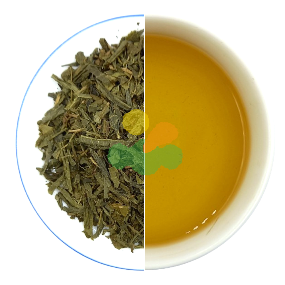 Trà túi lọc Sencha Special 200g