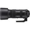 Sigma 60-600mm f/4.5-6.3 DG OS HSM Sports for Canon EF MỚI 100%