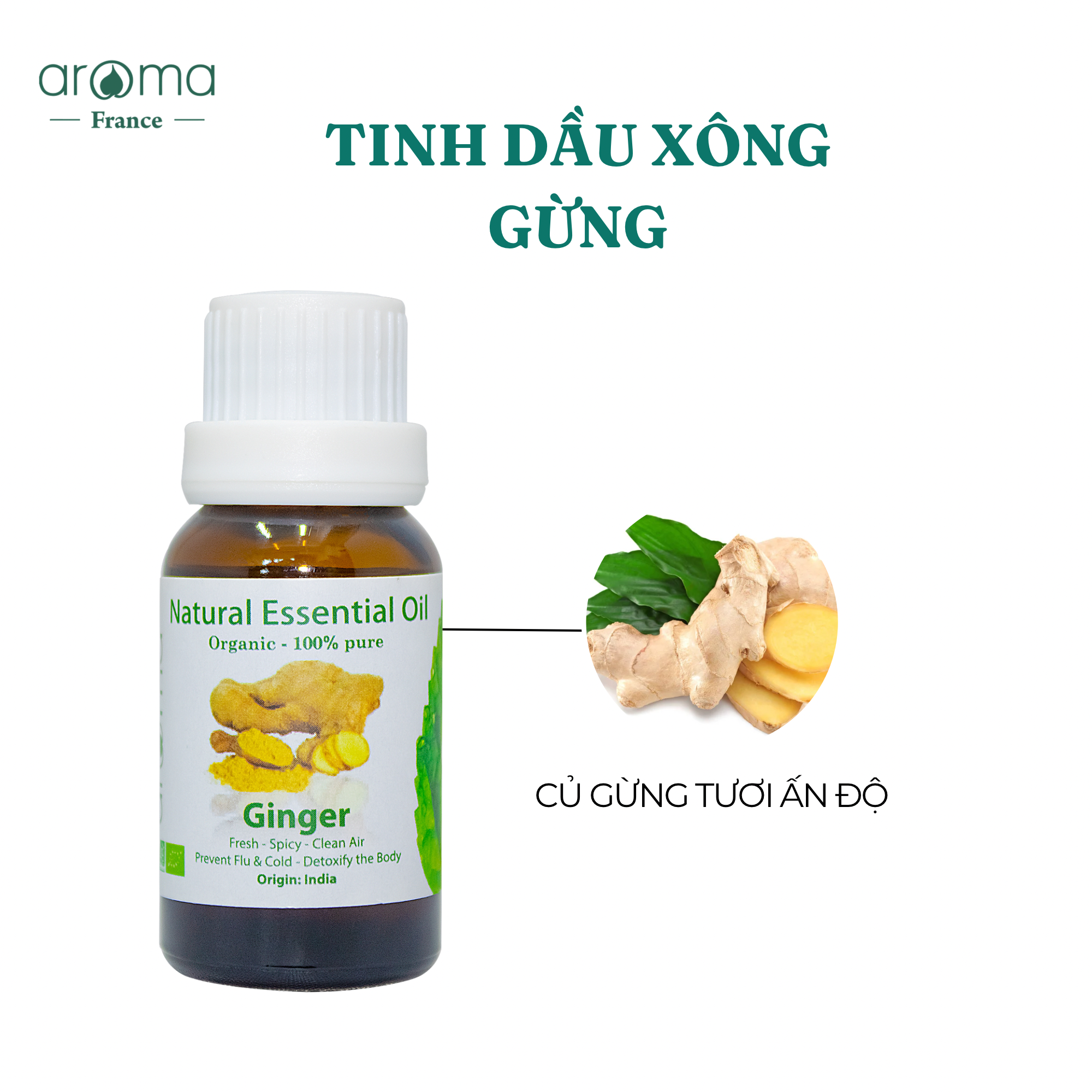 Tinh Dầu Gừng Thiên Nhiên - Tinh Dầu Aroma GINGER