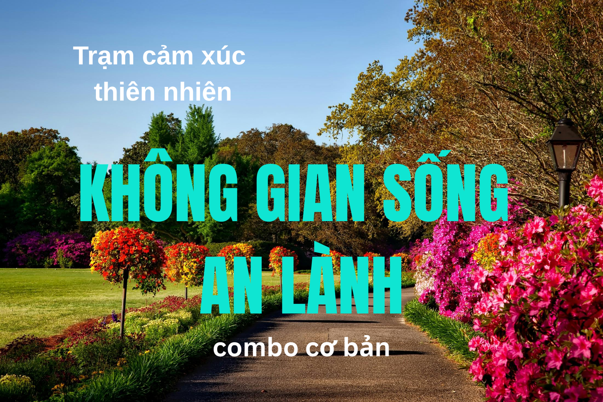 Combo Tinh Dầu An Lành – Làm Mát Không Gian, Giảm Stress, Tạo Năng Lượng Bình Yên | Cơ bản
