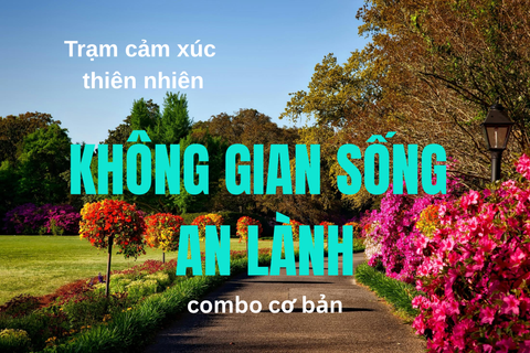 Combo Tinh Dầu An Lành – Làm Mát Không Gian, Giảm Stress, Tạo Năng Lượng Bình Yên | Cơ bản