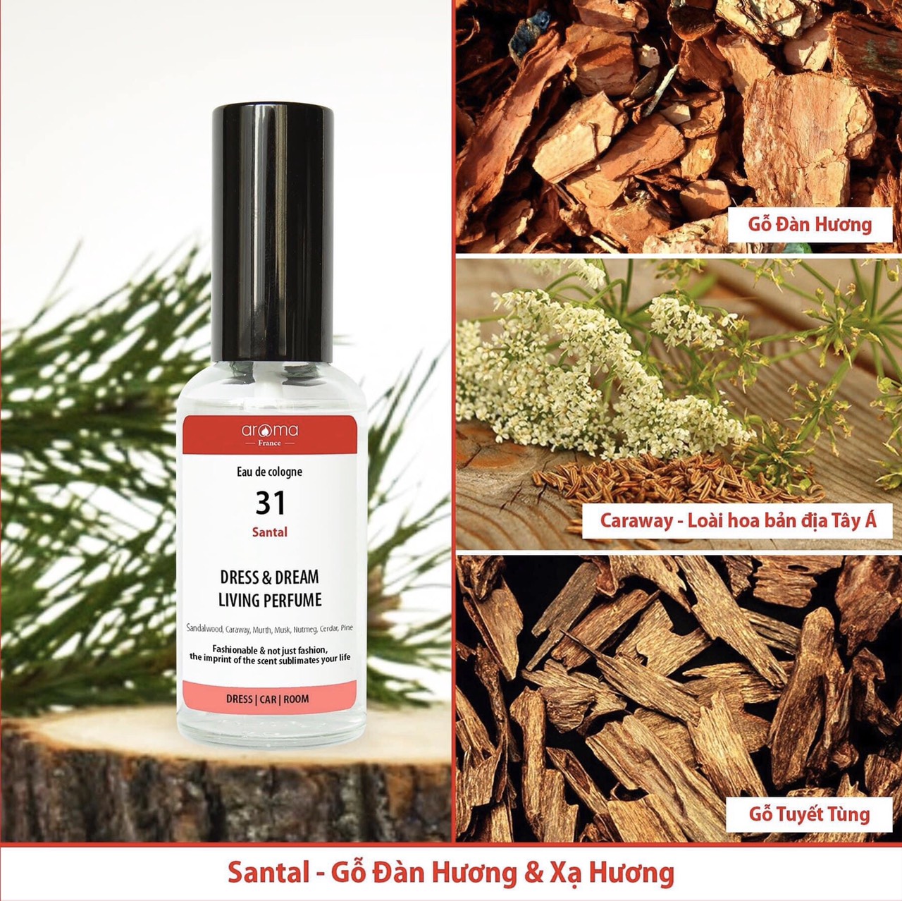 Tinh Dầu Thiên Nhiên Gỗ Hồng - Rosewood Essential Oil - tinh dầu xông nhà, tinh dầu thơm nhà