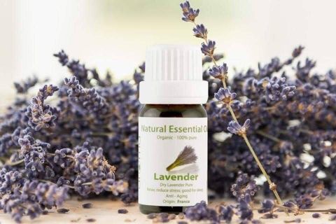 Tinh Dầu Thiên Nhiên Oải Hương Khô - Dry Lavender Essential Oil  - Tinh dầu oải hương, tinh dầu xông nhà, tinh dầu thơm nhà