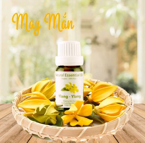 Tinh Dầu Hữu Cơ Oải Hương & Cam - Eco Lavlang Essential Oil - tinh dầu xông nhà, tinh dầu thơm nhà