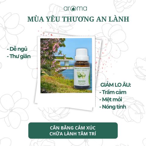 Tinh dầu lá thông xanh, bạc hà, xô thơm, khuynh diệp, gỗ hương - Hương Mưa Đà Lạt