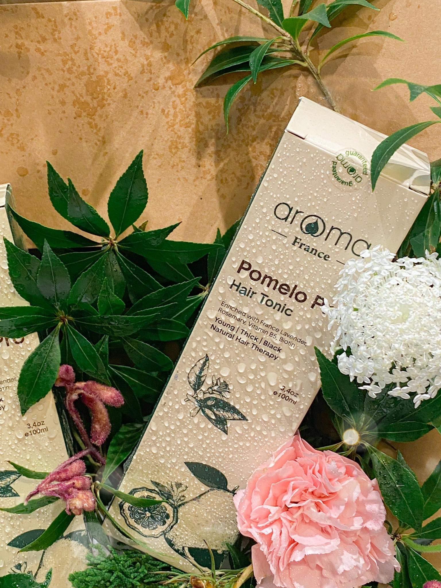 Xịt dưỡng tóc vỏ bưởi Aroma Pomelo Pro Kích thích mọc tóc, chống bạc