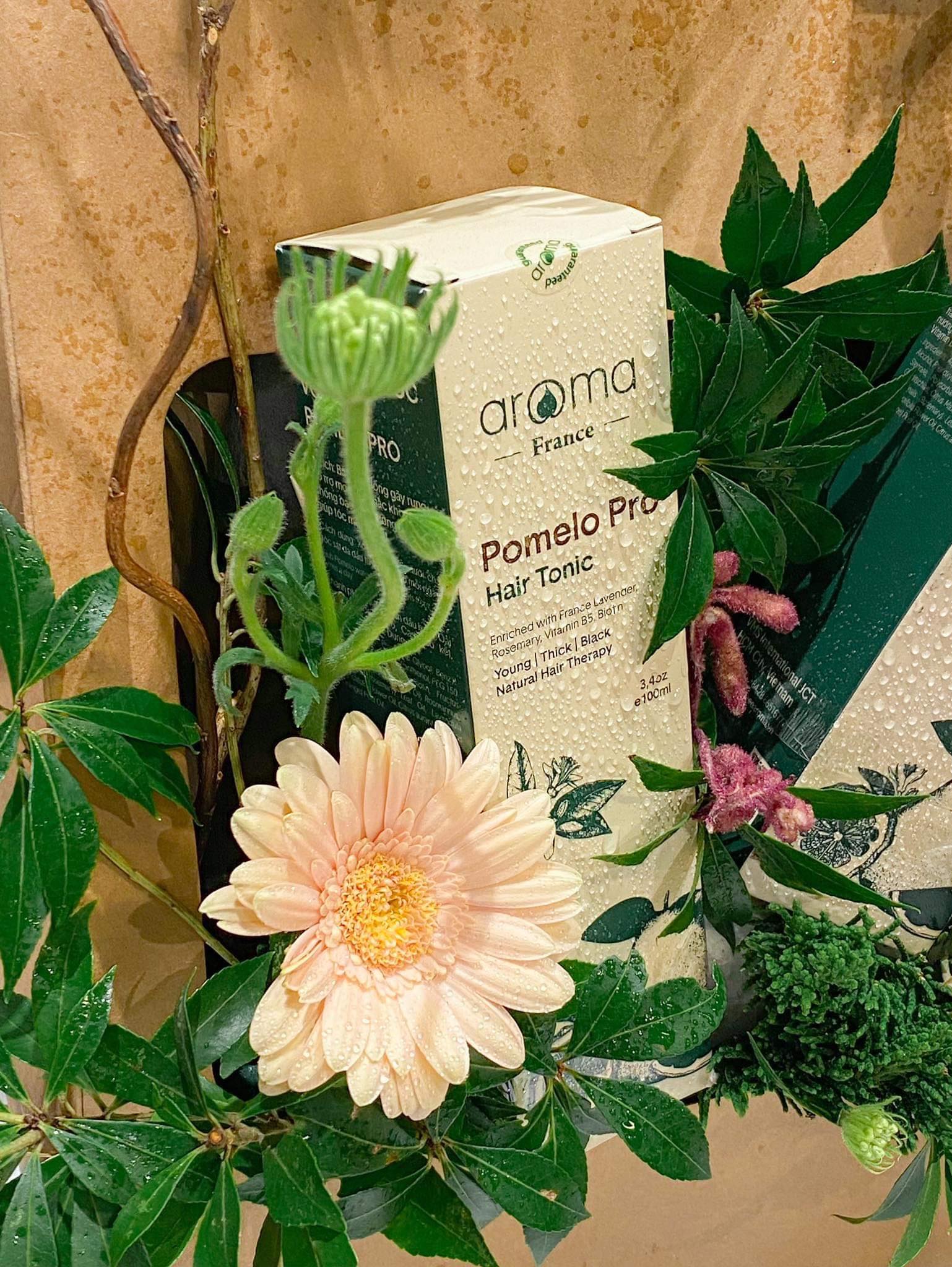 Nước Xịt Bưởi Aroma Pro – Chống Rụng Tóc, Chống Bạc Tóc, Kích Thích Mọc Tóc