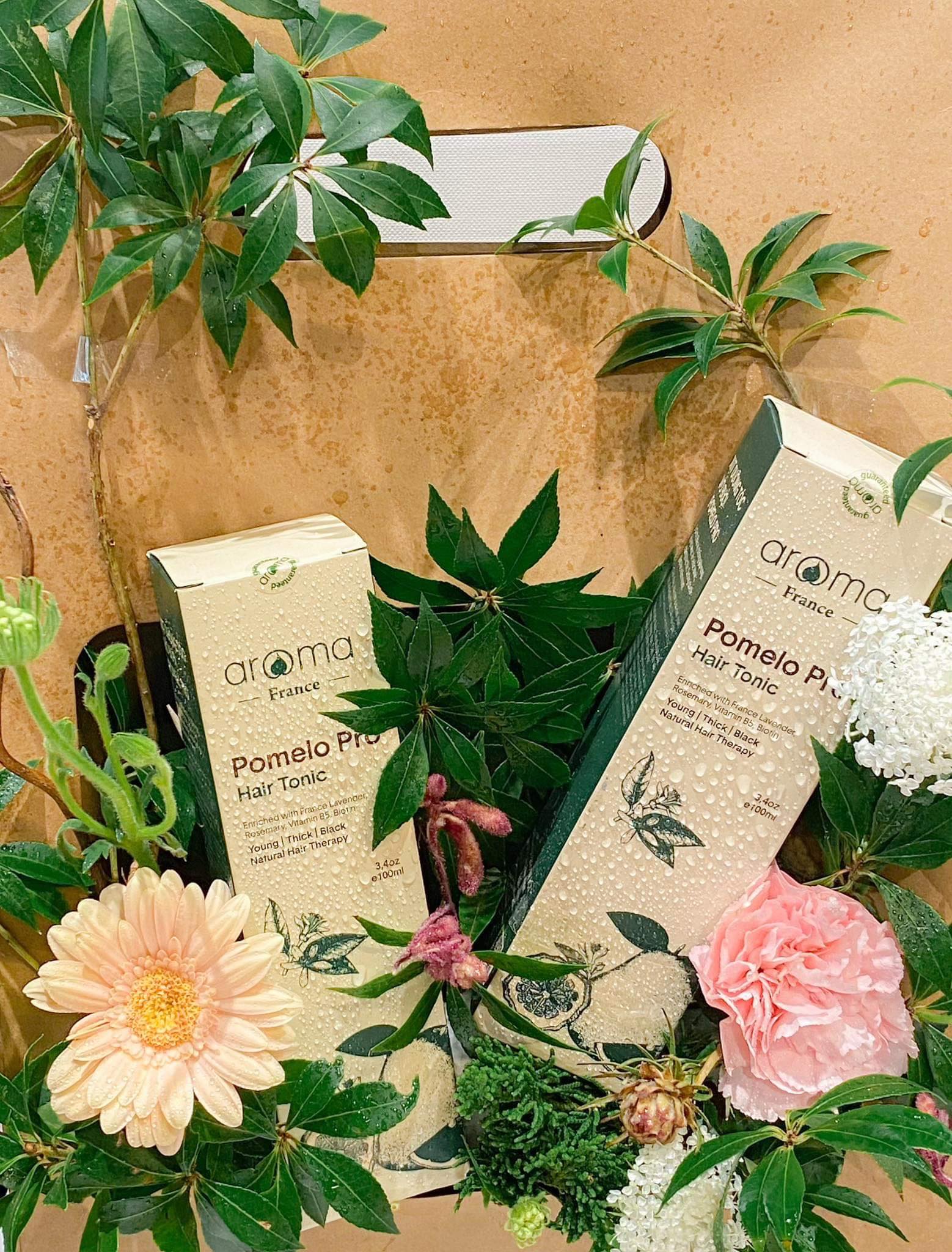 Nước Xịt Bưởi Aroma Pro – Chống Rụng Tóc, Chống Bạc Tóc, Kích Thích Mọc Tóc