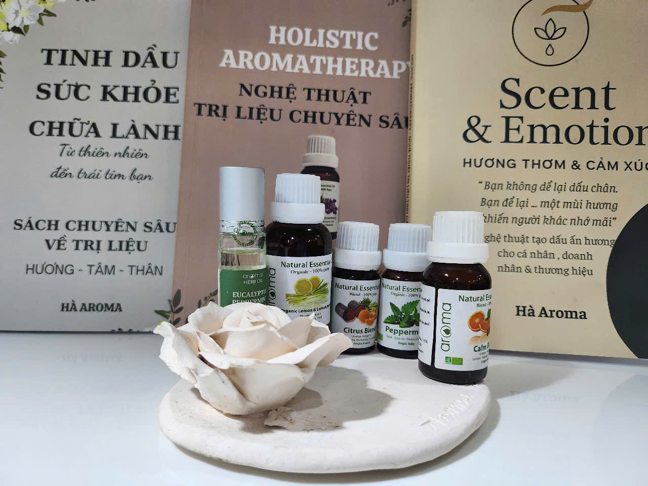Sách Holistic Aromatherapy – Nghệ thuật Trị liệu tinh dầu chuyên sâu từ phương Đông đến phương Tây