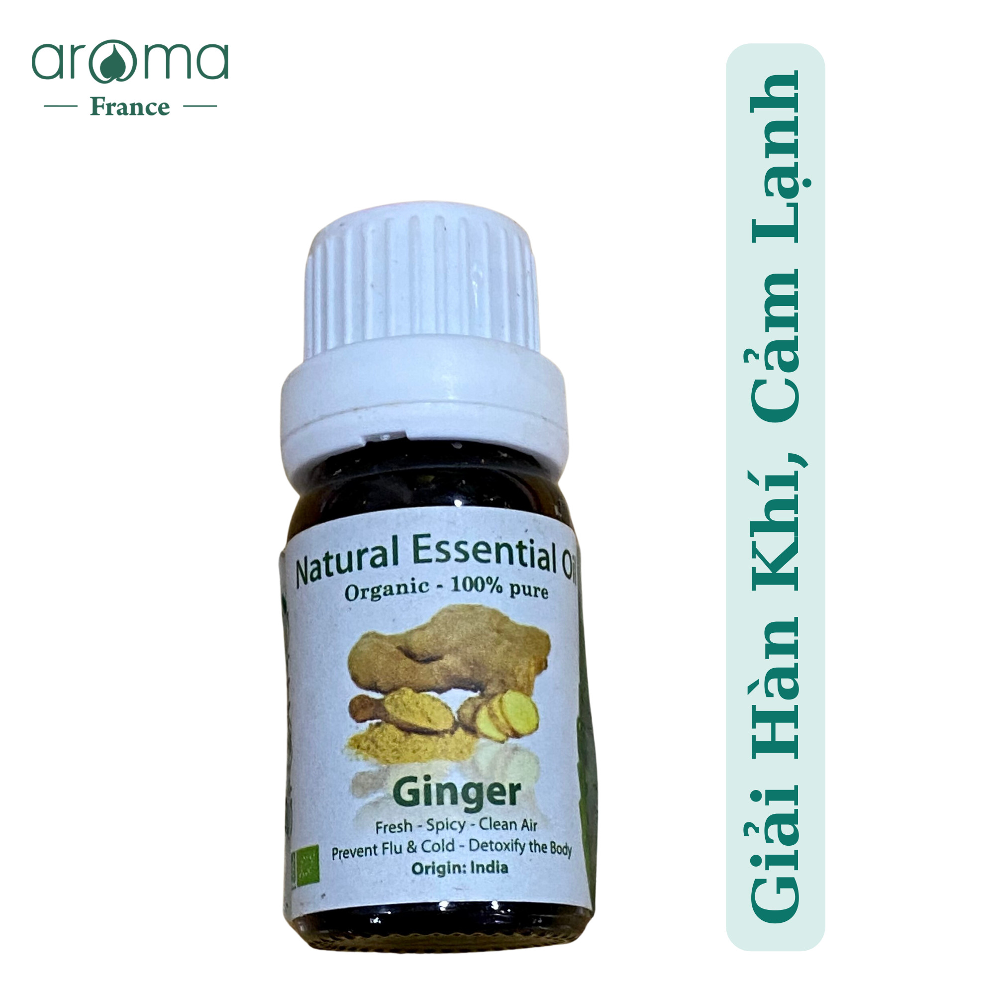 Tinh Dầu Thiên Nhiên Gừng - Ginger Essential Oil - tinh dầu xông nhà, tinh dầu thơm nhà